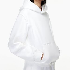 Aritzia TNA Perfect Hoodie